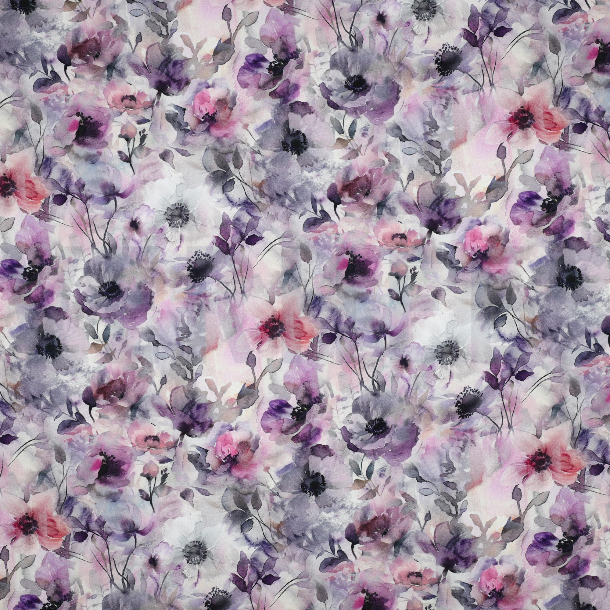 Lavendel.jpg