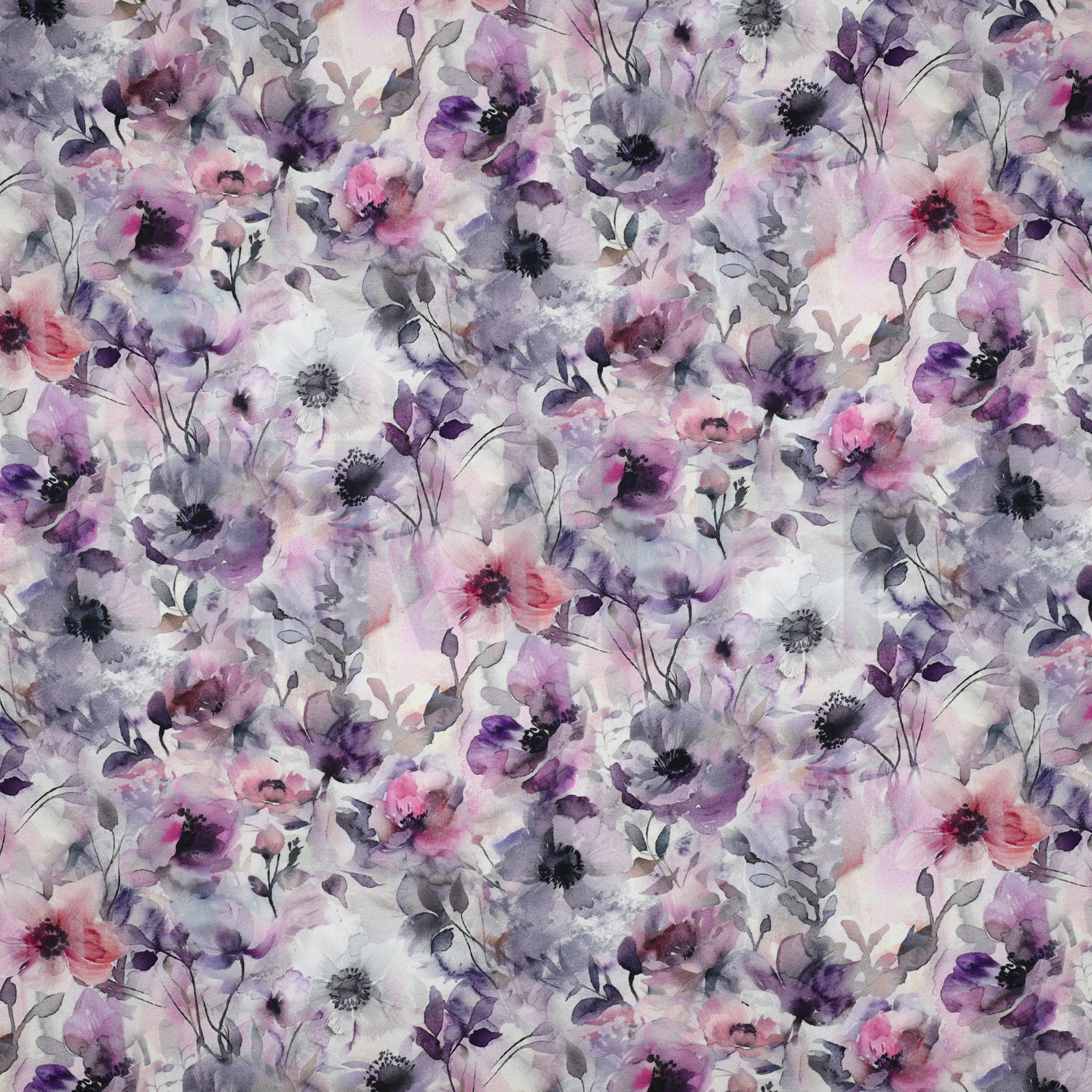 Lavendel.jpg