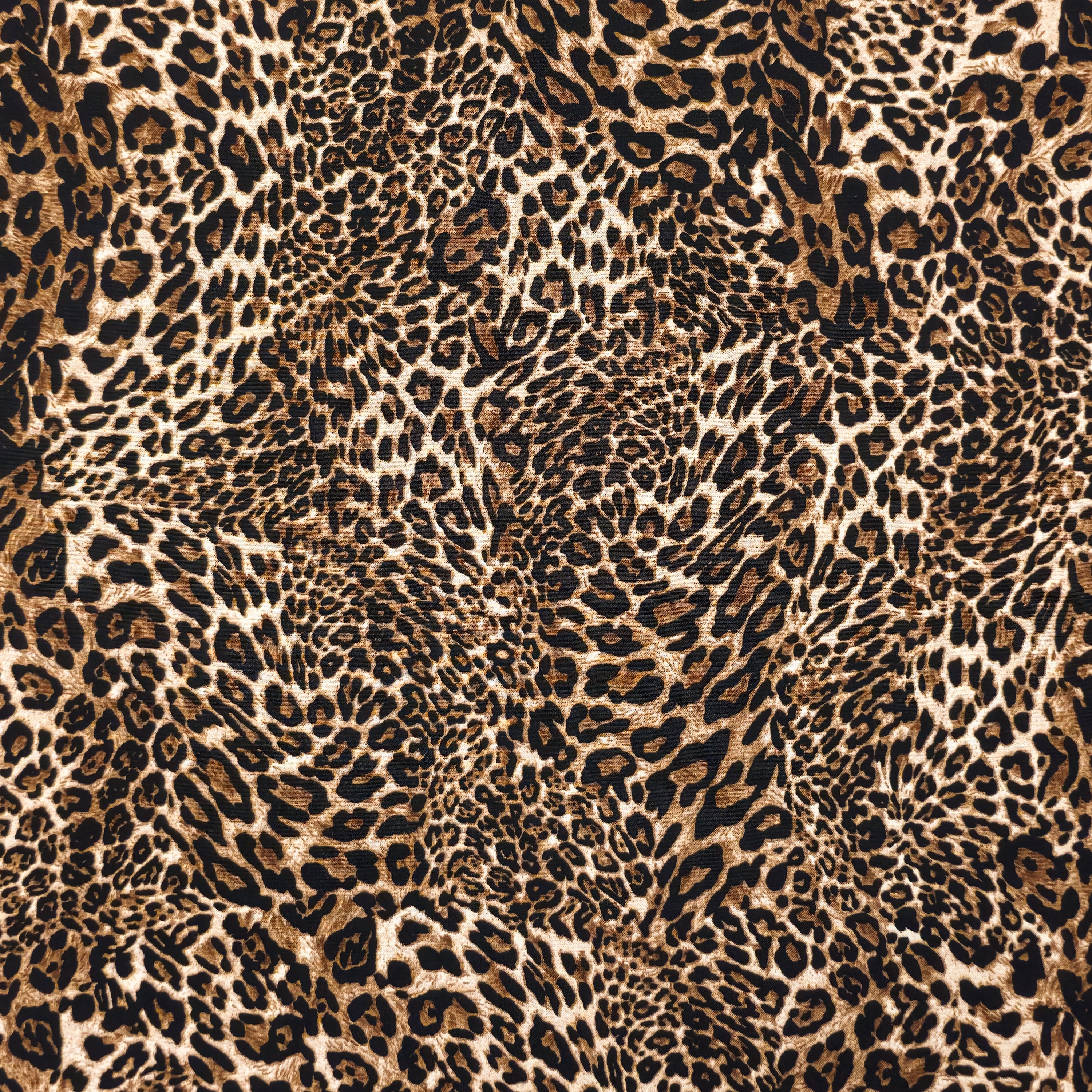 Top FRANCA | LEO